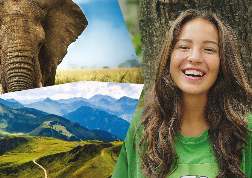 Planetary Project Identity Design template